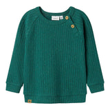 NAME IT maglia girocollo tinta unita Verde per Neonato 13231584 VERDE NAME IT