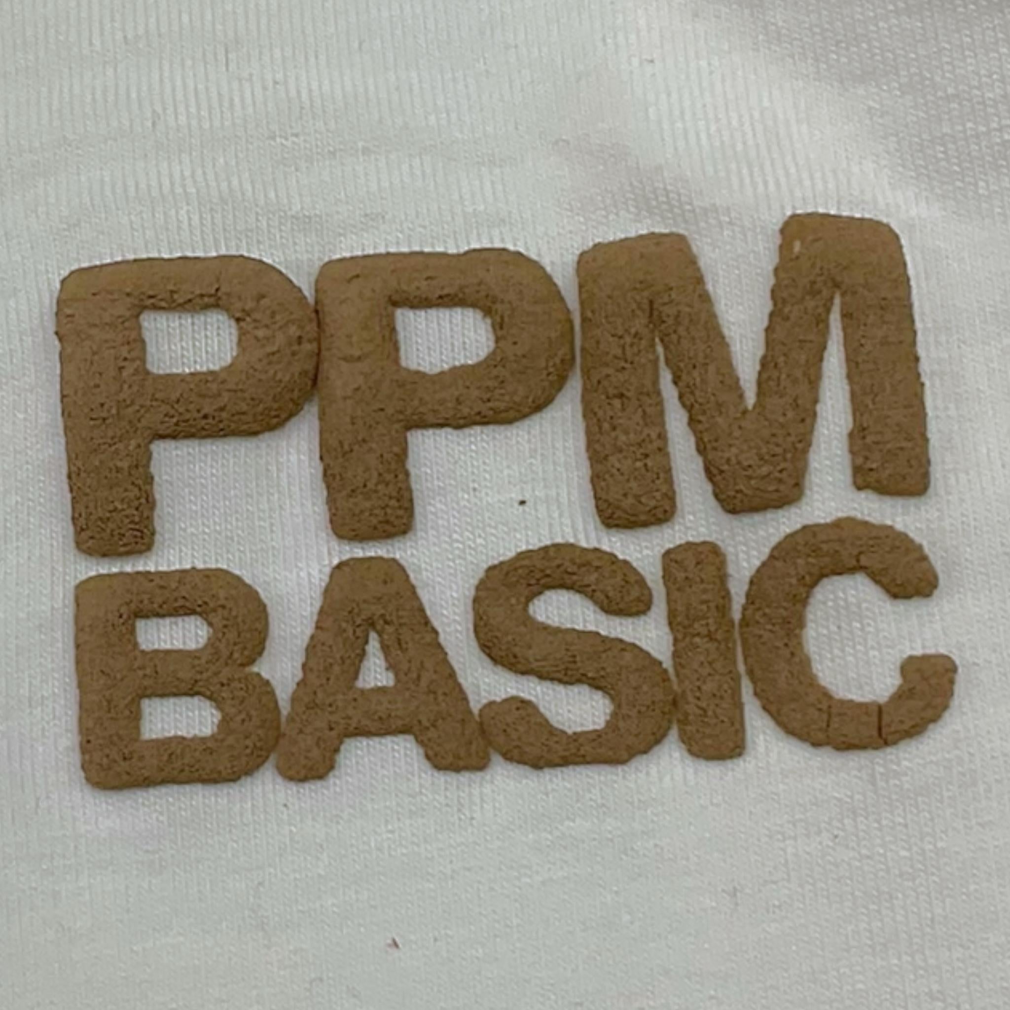 PAOLO PECORA shirt girocollo tinta unita con stampa Bianco/beige per Bambino PP3845 BIANCO/BEIGE PAOLO PECORA