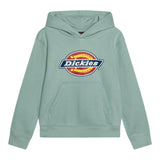 DICKIES felpa tinta unita con cappuccio e logo Verde acqua per Bambino DK0KWR27KBK1 VERDE ACQUA DICKIES