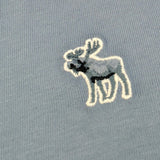 Abercrombie Kids T-Shirt tinta unita con Stampa Azzurro per Bambino WIIWIW AZZURRO  
