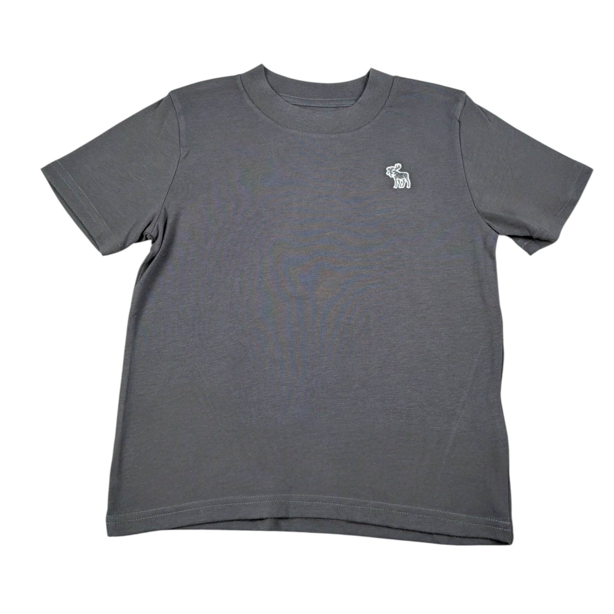 Abercrombie Kids T-Shirt tinta unita con Stampa Grigio per Bambino WIIWIW GRIGIO  