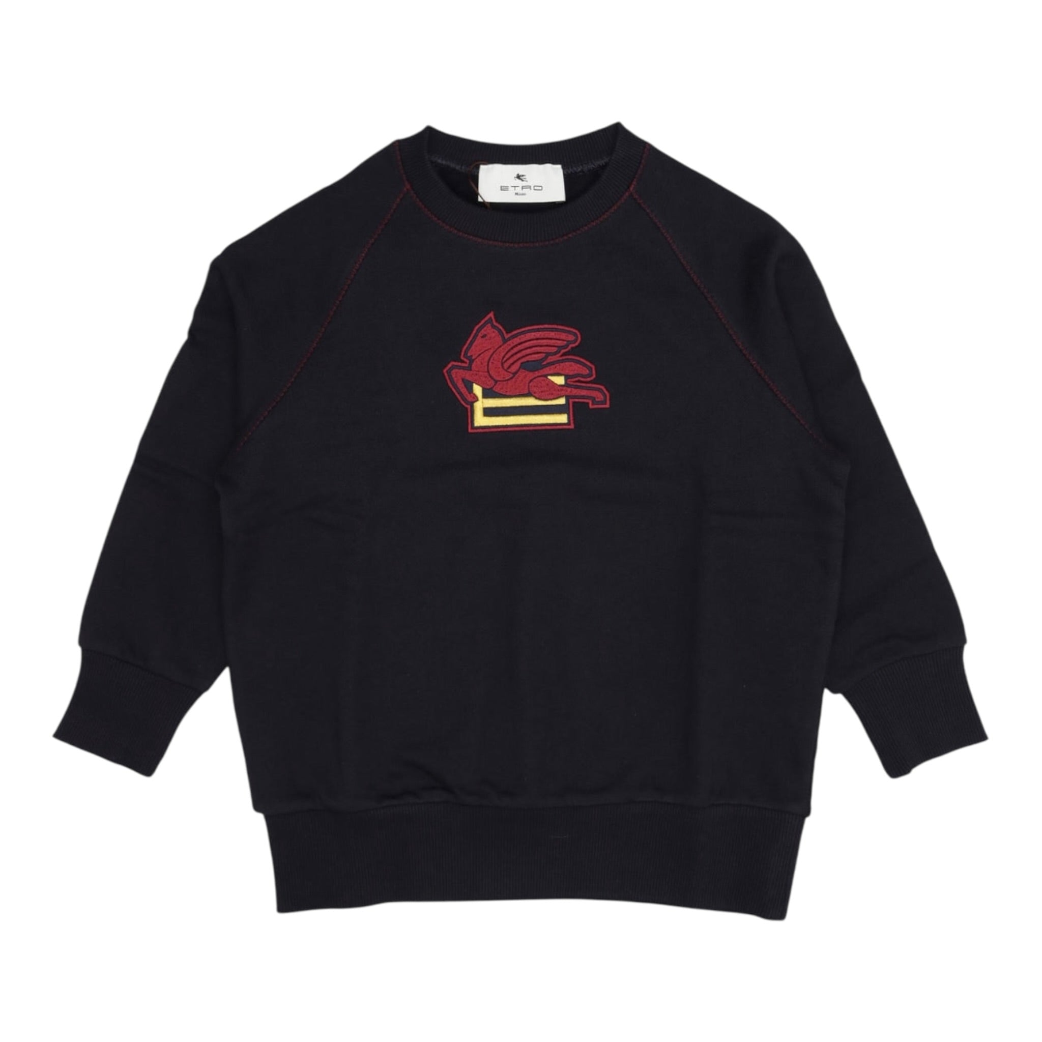 Etro Felpa Chiusa Girocollo tinta unita con Stampa Logo Blu per Bambino GV4P10 BLU ETRO 