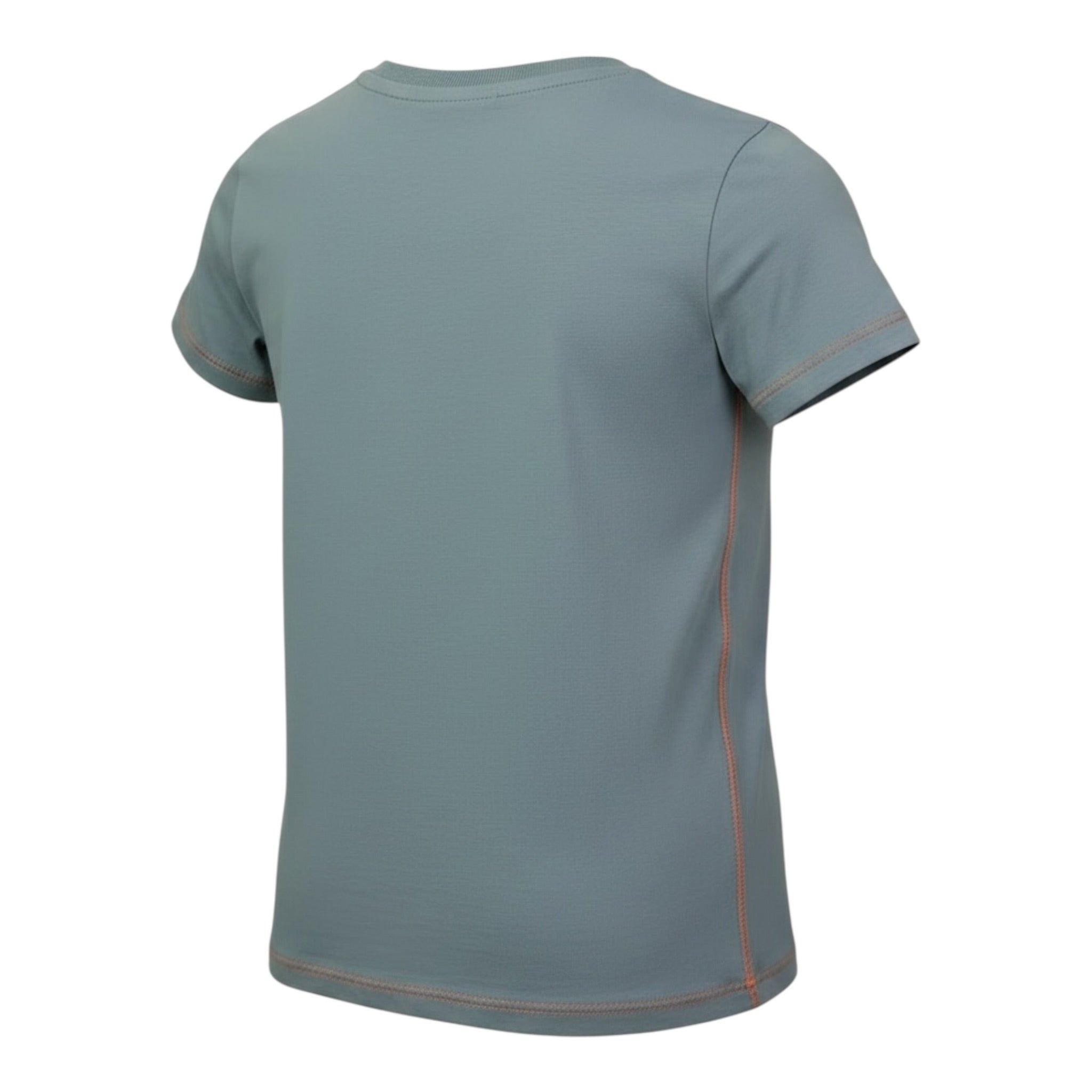 Guess T-Shirt tinta unita con Stampa Polvere per Bambino N5RI27K8HM4 POLVERE GUESS 