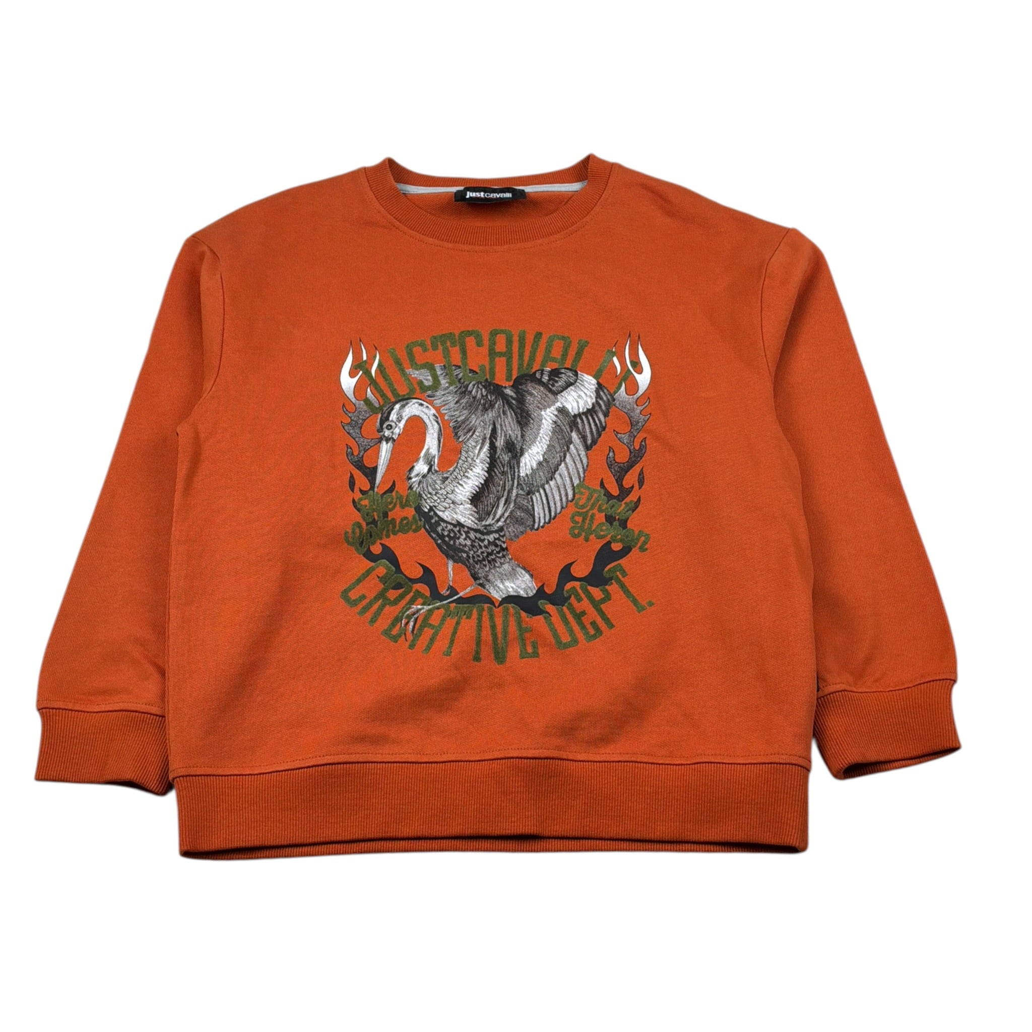 Just Cavalli Felpa Chiusa Girocollo tinta unita con Stampa Arancione per Bambino JBA26020FE ARANCIONE JUST CAVALLI 