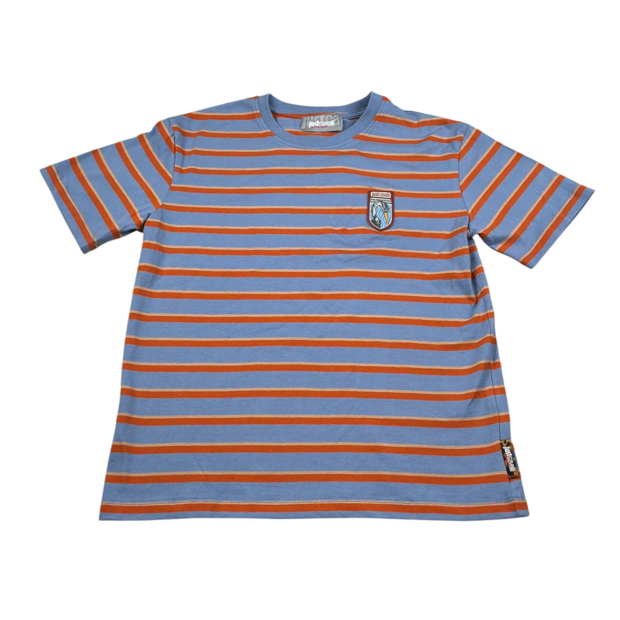 Just Cavalli T-Shirt Fantasia A Righe con Logo Azzurro per Bambina JGA26111TS AZZURRO JUST CAVALLI 