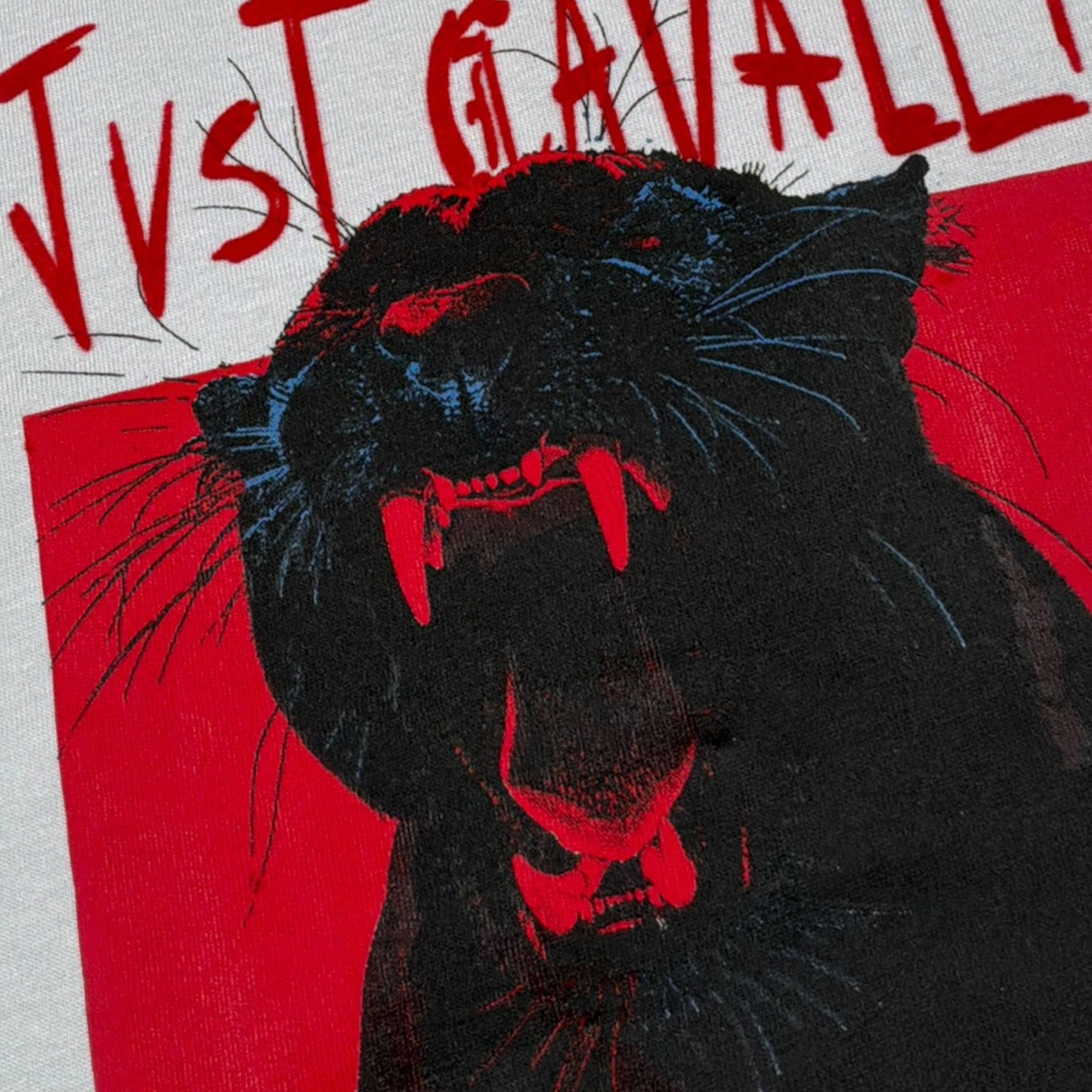 Just Cavalli T-Shirt tinta unita con Stampa Grigio per Neonata JIA260404TS GRIGIO JUST CAVALLI 