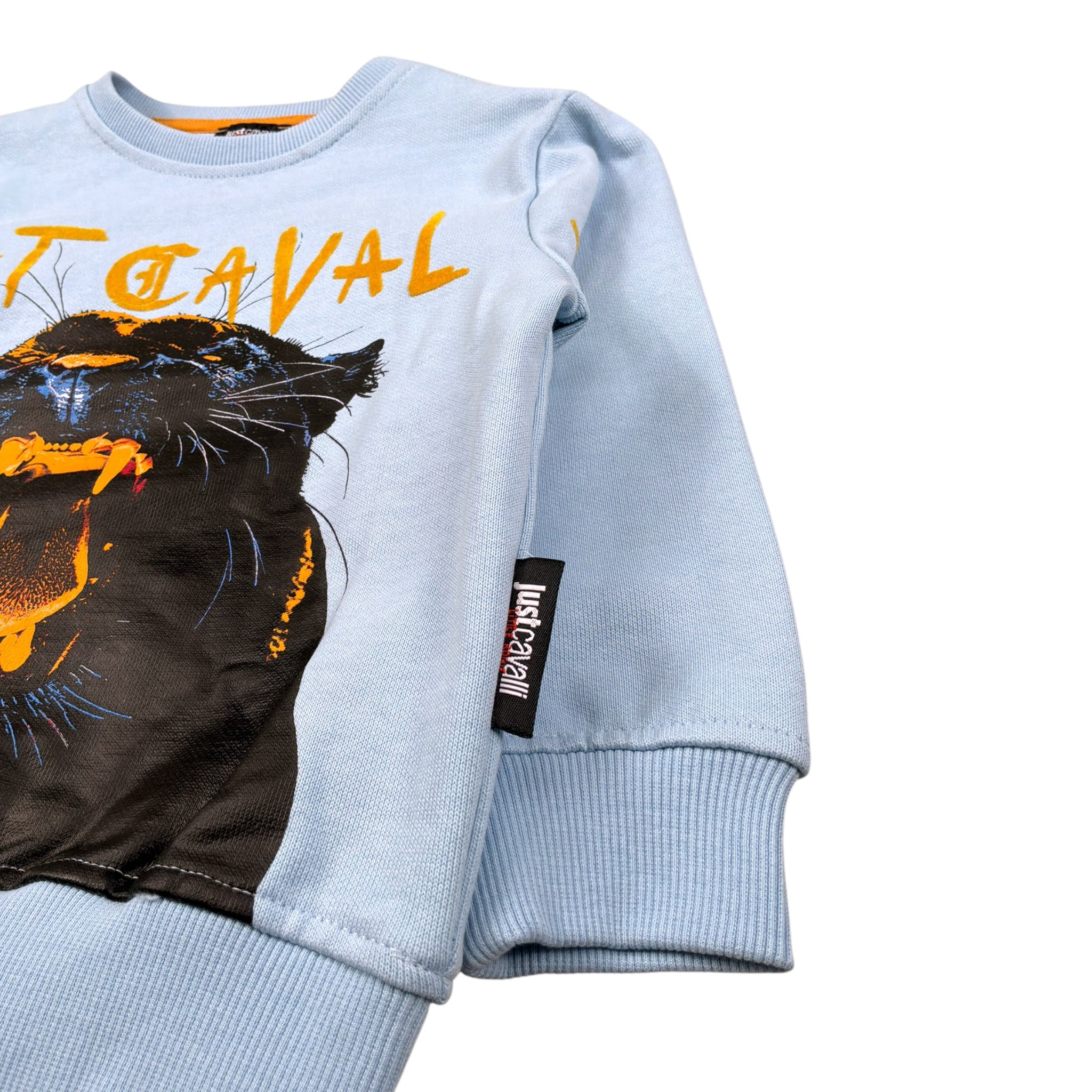 Just Cavalli Felpe Chiusa Girocollo tinta unita Azzurro per Neonato JIA26068FE AZZURRO JUST CAVALLI 