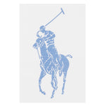 Ralph Lauren Completo 2 Pezzi T-Shirt-Bermuda Bianco/Azzurro per Bambino 9P0141 BIANCO/AZZURRO RALPH LAUREN 