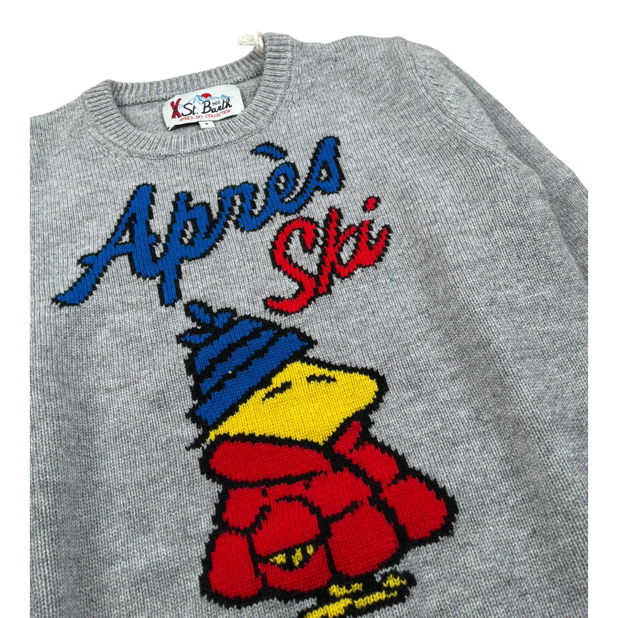 Saint Barth Maglia tinta unita con Stampa Grigio per Bambino DOU000102557I GRIGIO SAINT BARTH 