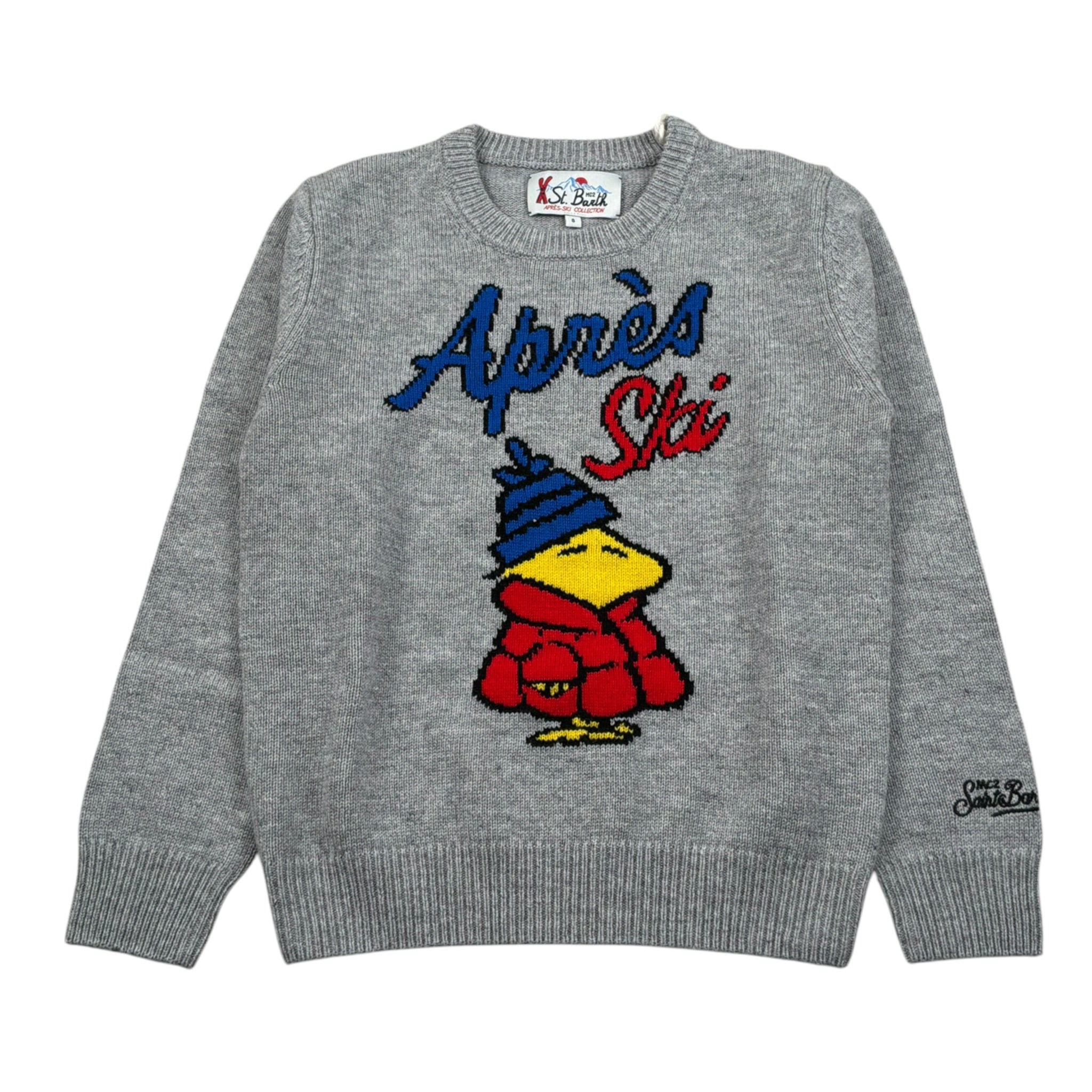 Saint Barth Maglia tinta unita con Stampa Grigio per Bambino DOU000102557I GRIGIO SAINT BARTH 