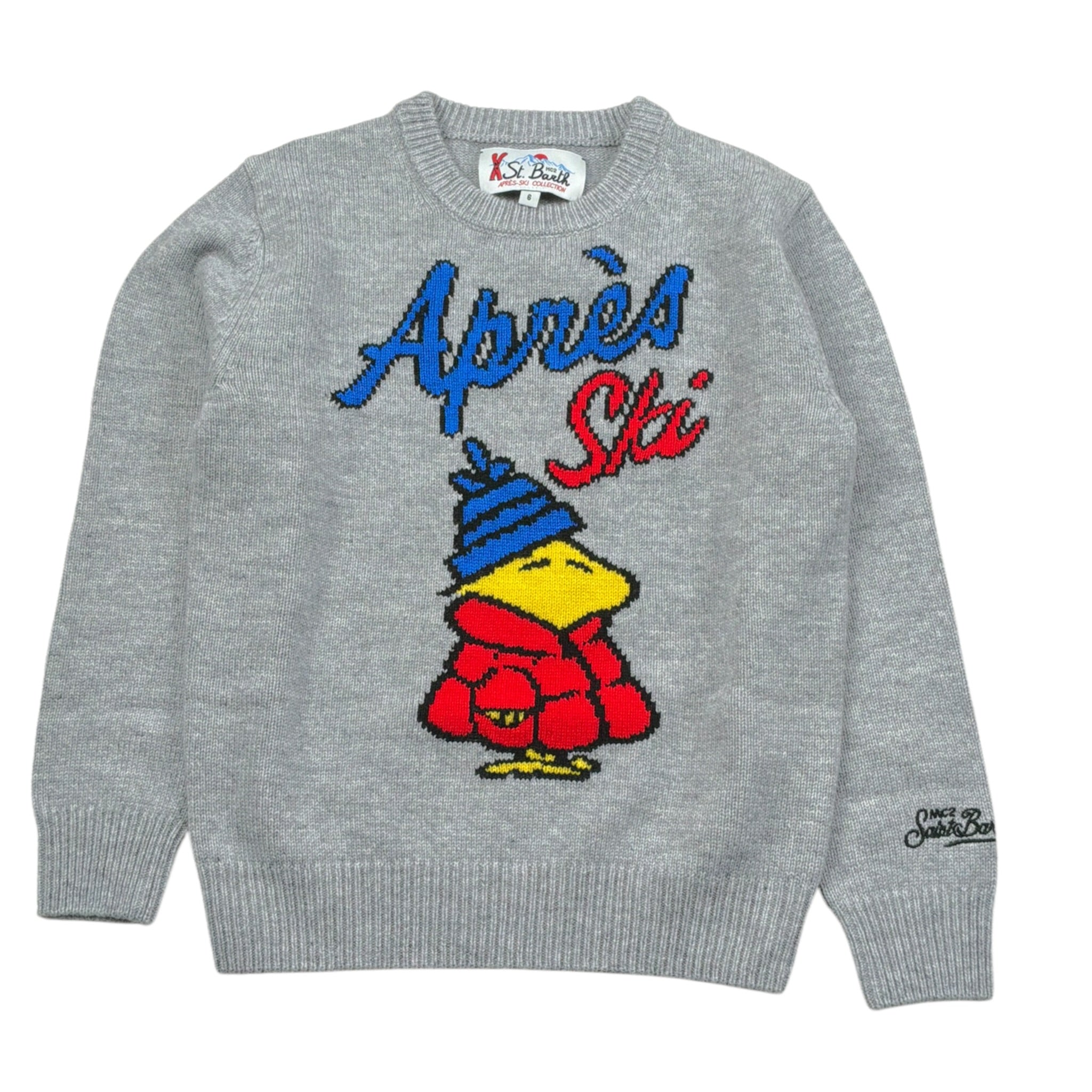Saint Barth Maglia tinta unita con Stampa Grigio per Bambino DOU000102557L GRIGIO SAINT BARTH 