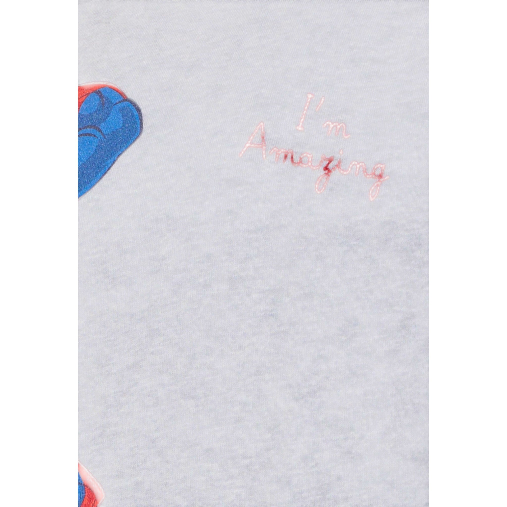 Saint Barth Felpa Chiusa Girocollo tinta unita con Stampa Grigio per Bambino HUT000401521L GRIGIO SAINT BARTH 