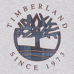 Timberland Felpa tinta unita con Stampa Grigio per Bambino T60319 GRIGIO TIMBERLAND 