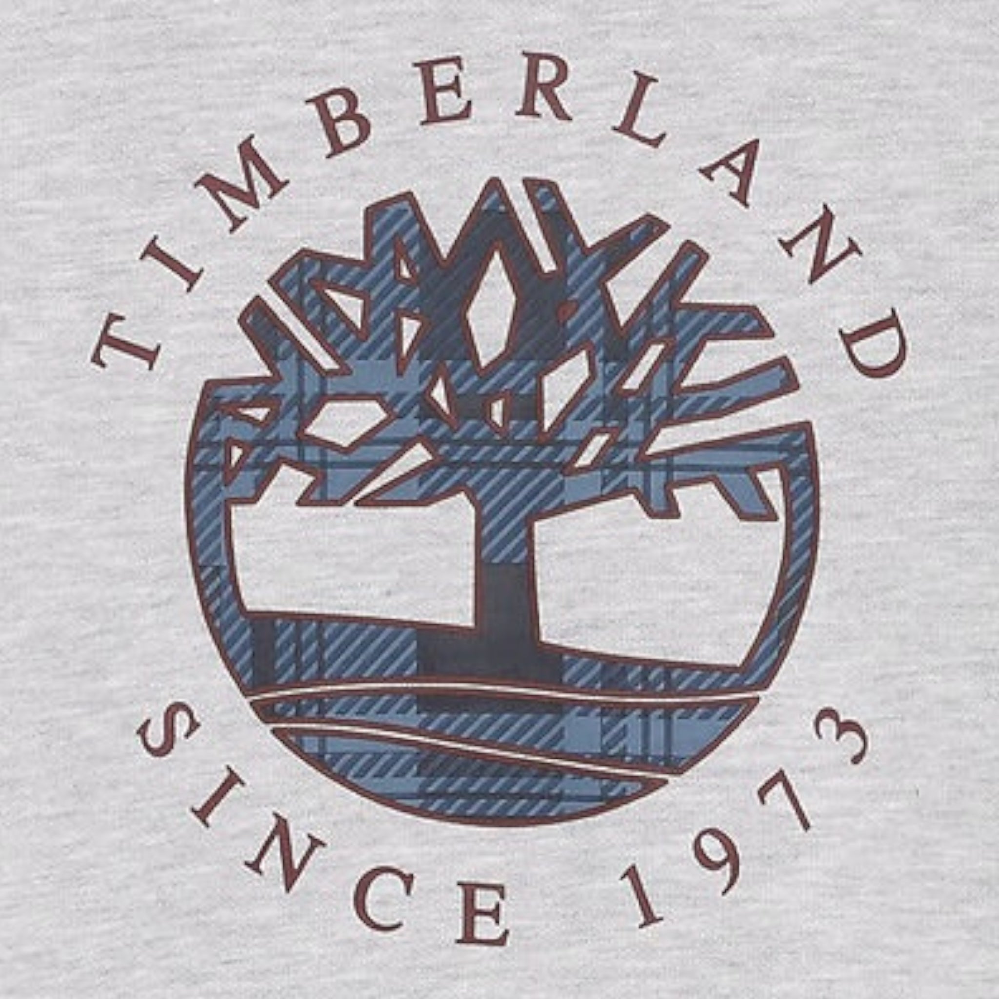 Timberland Felpa tinta unita con Stampa Grigio per Bambino T60319 GRIGIO TIMBERLAND 