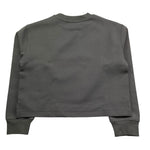 Calvin Klein Felpa Chiusa Girocollo Tinta Unita con Logo per Bambina IG0IG02482 GRIGIO CALVIN KLEIN 