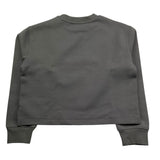 Calvin Klein Felpa Chiusa Girocollo Tinta Unita con Logo per Bambina IG0IG02482 GRIGIO CALVIN KLEIN 