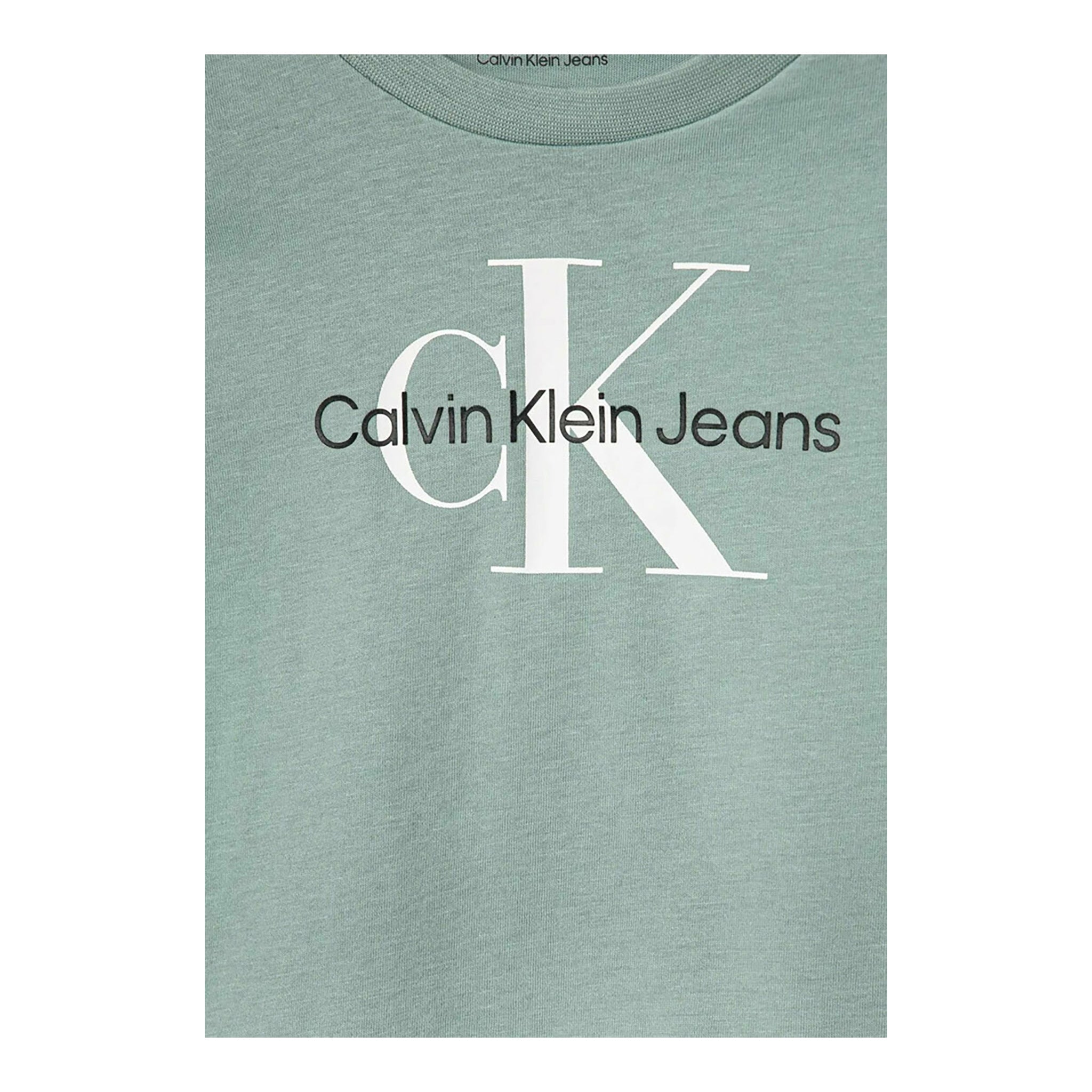 Calvin Klein T-Shirt Girocollo Tinta Unita con Logo per Bambino IN0IN0001J VERDE ACQUA CALVIN KLEIN 