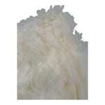 Fun & Fun Short Tinta Unita con Applicazioni Tulle per Neonata FNCBSO01048XN AVORIO FUN & FUN 