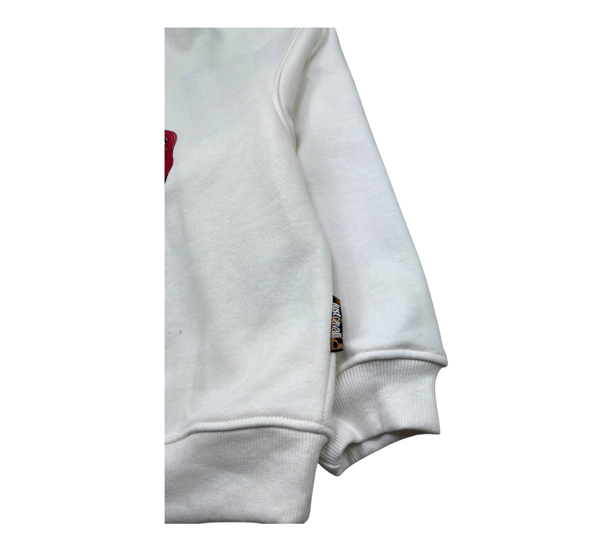 Just Cavalli Felpa Chiusa Girocollo Tinta Unita con Stampa per Bambino JBP26031FE PANNA JUST CAVALLI 