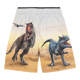 Molo Costume Modello Box Tinta Unita con Stampa Dinosauri per Bambino BW22P401 GRIGIO MOLO 
