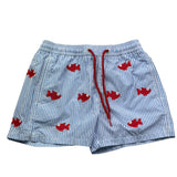 Saint Barth Costume Tinta Unita Modello Boxer con Stampa per Bambino 00603L AZZURRO SAINT BARTH 