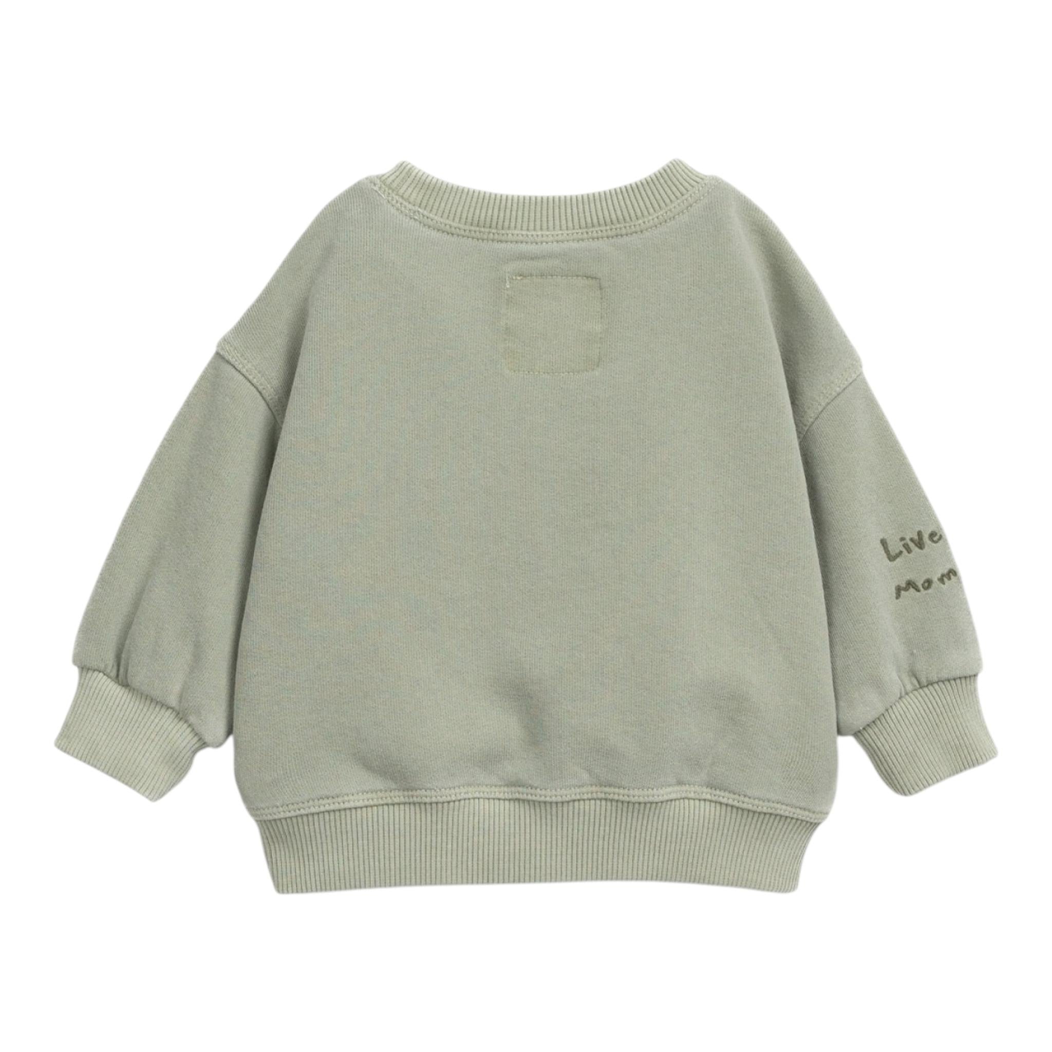 PLAY UP felpa tinta unita girocollo con stampa Verde per Bambino PA011AP10903 VERDE PLAY UP 