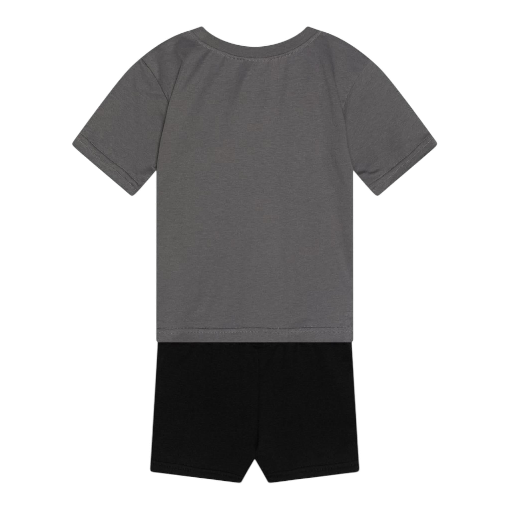 The North Face Completo 2 Pezzi T-Shirt-Bermuda Grigio per Bambino NF0A8ANURPIXX GRIGIO THE NORTH FACE 