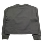 Calvin Klein Felpa Chiusa Girocollo Tinta Unita con Logo per Bambina IG0IG02482 GRIGIO CALVIN KLEIN 