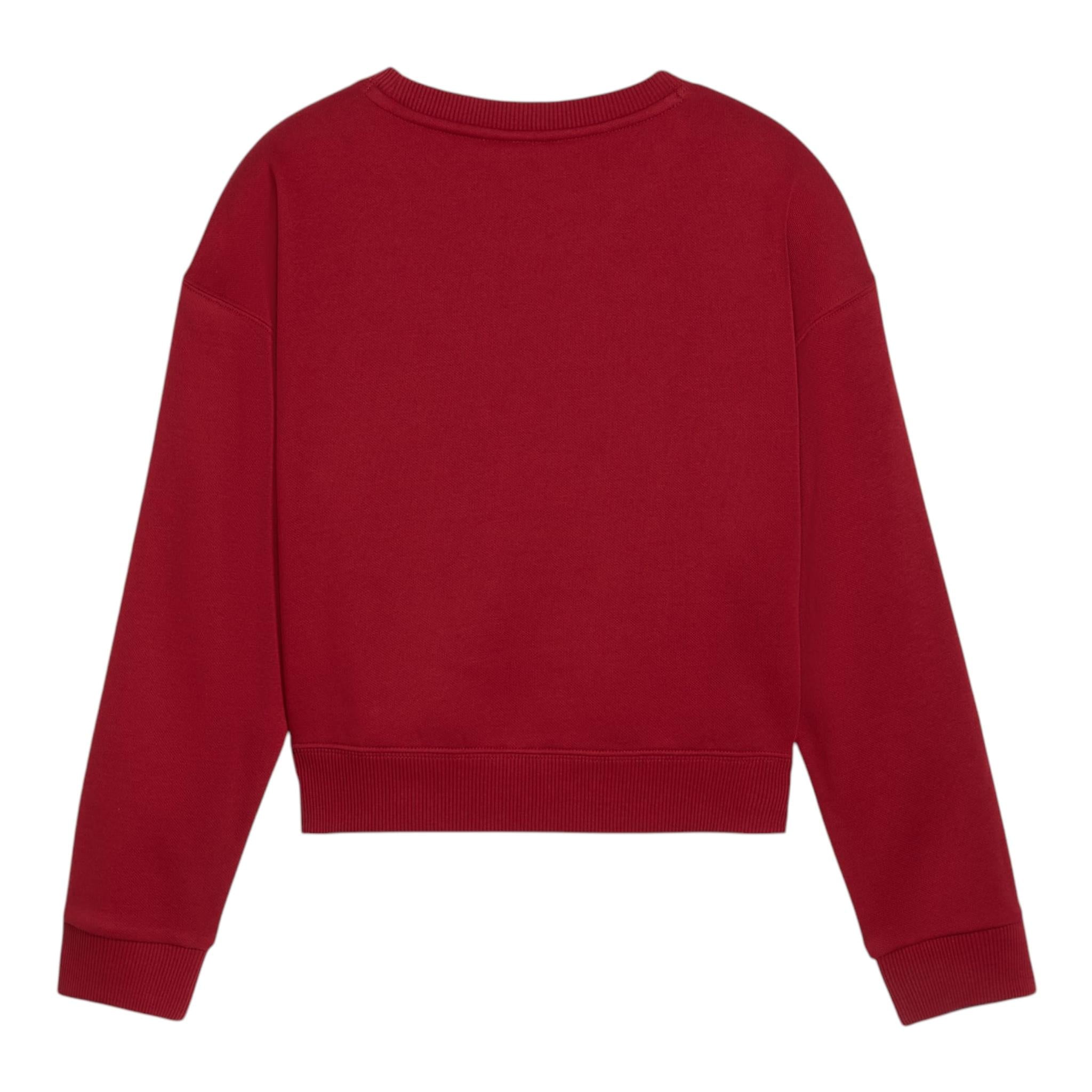 PUMA felpa tinta unita con cappuccio e stampa logo Rosso per Bambino 682774 ROSSO PUMA 