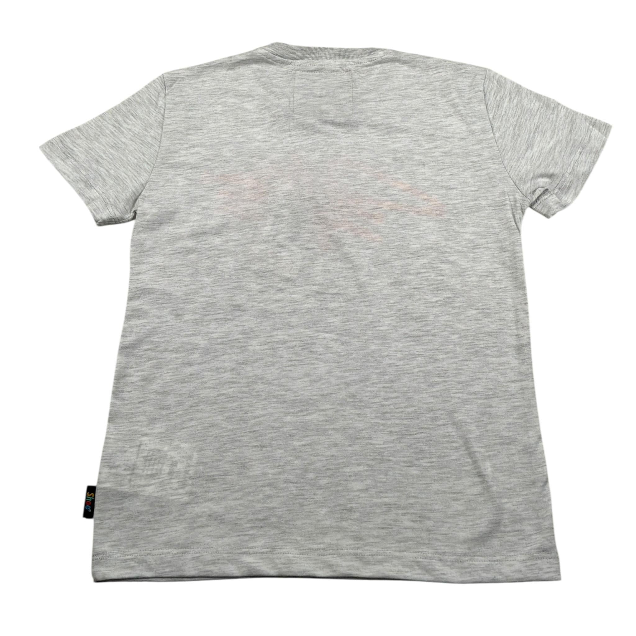 Shopart T-Shirt Girocollo tinta unita con Stampa Grigio per Bambino TIMMYJ0511 GRIGIO SHOPART 