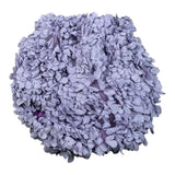 A' La Page Coulotte Tinta Unita con Applicazioni per Neonata AL20N LILLA A' LA PAGE 