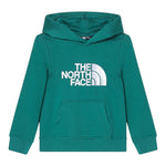 THE NORTH FACE felpa chiusa con cappuccio tinta unita con logo Verde per Bambino NF0A89HHNL1 VERDE THE NORTH FACE 