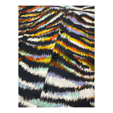 Just Cavalli Halbarmhemd Multicolor Fantasy Print für Jungen