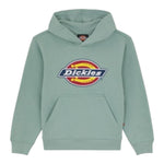 DICKIES felpa chiusa con cappuccio tinta unita con logo Verde acqua per Bambina DK0KWR27J591 VERDE ACQUA DICKIES 